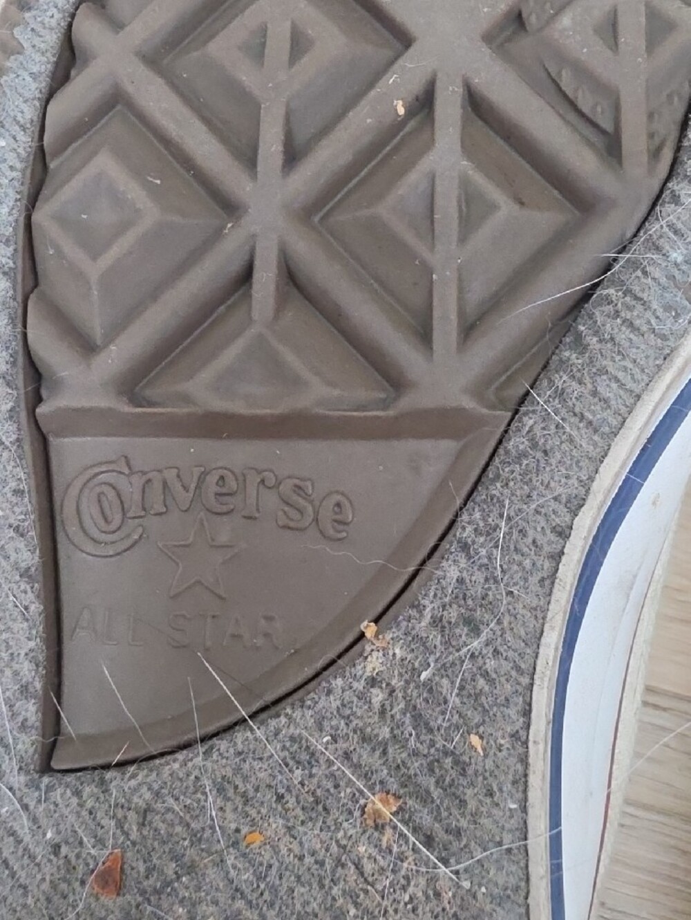 Converse Shoreline Sneaker - Picture 9 of 9